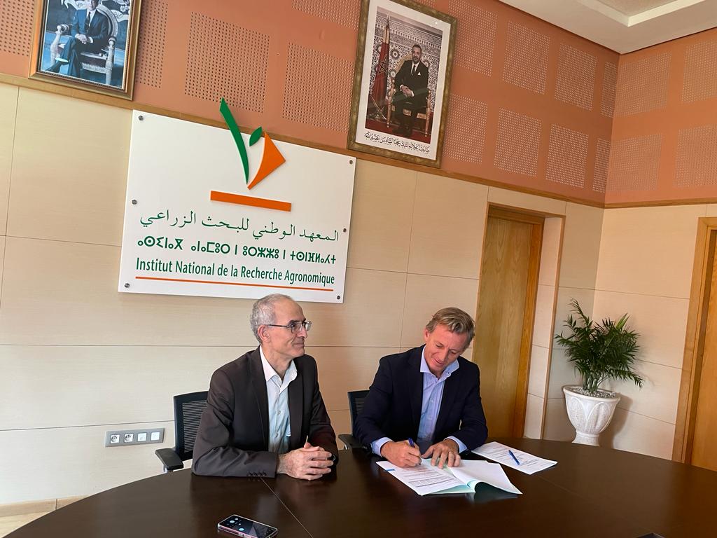 Partenariat Syngenta Maroc et INRA en matière de protection de semences de blé
